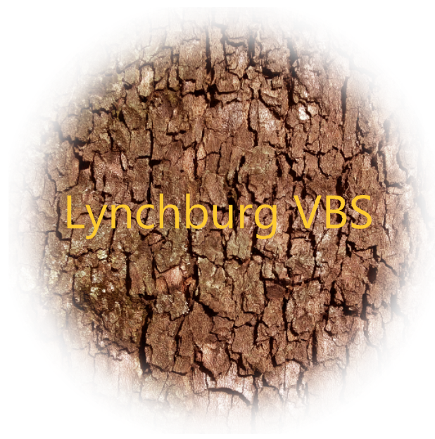 Lynchburg VBS